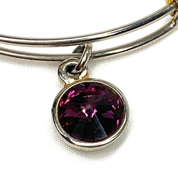 Alex and Ani February Amethyst Birthstone Charm Bracelet Silver 2"- 3.5" - Picture 2 of 3
